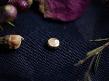 Load image into Gallery viewer, GOLDPLATED SHINY PUSH FIT LABRET