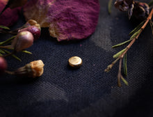 Load image into Gallery viewer, GOLDPLATED SHINY PUSH FIT LABRET