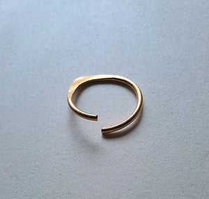 STHENO GOLD PLATED BRASS HOOPS