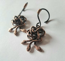 Load image into Gallery viewer, HYDRA three headed snake ear weights in bronze with niobium hooks