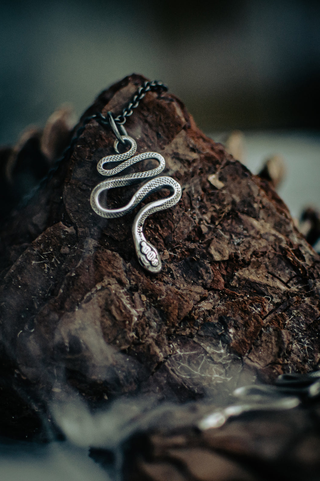 SERPENT necklace in silver with oxidized silver chain